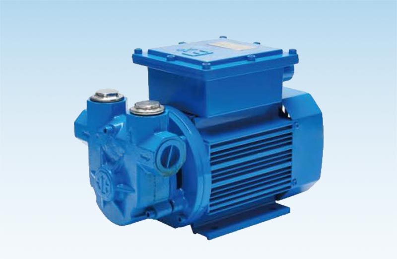 Explosion-proof oil pump (DC12/24V)