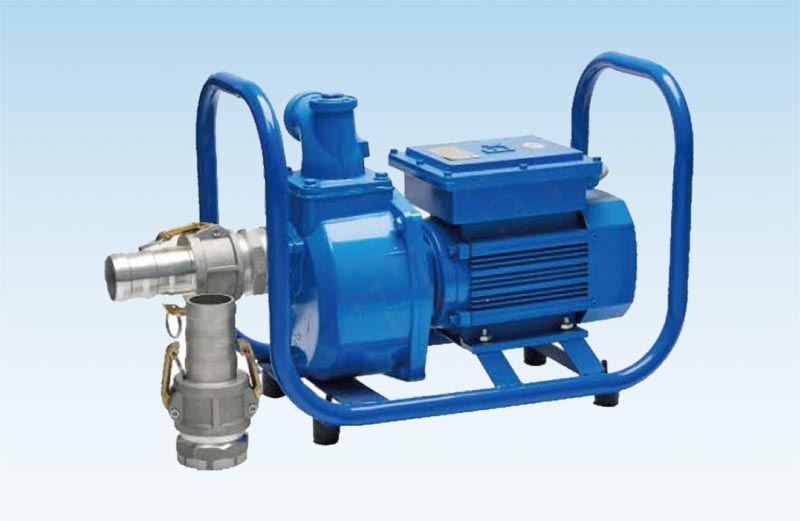 Explosion-proof oil pump (DC12/24V)